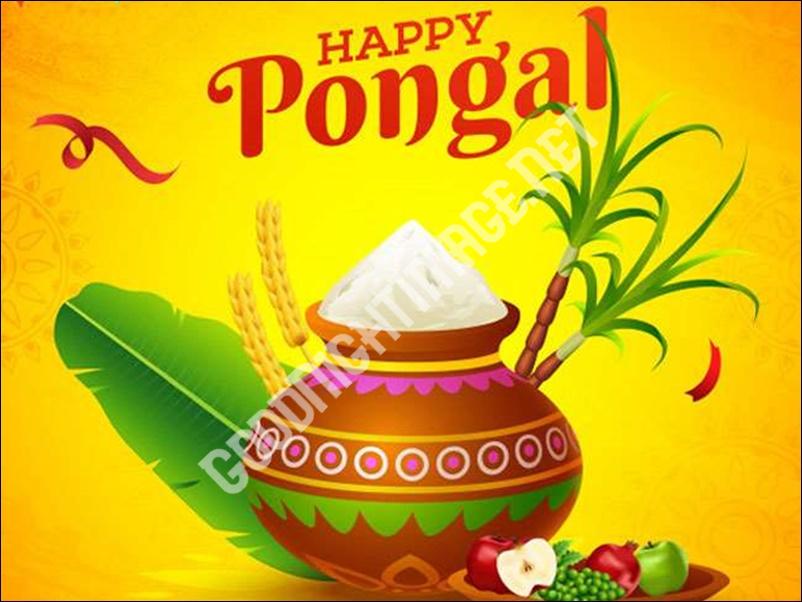 Happy Pongal Images In Tamil Download  